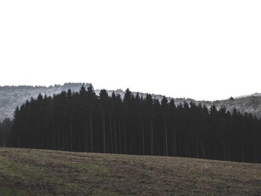 нерухомість купити, купить недвижимость