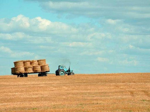 Продажа 1 кімнатного будинку по Збруцька вулиця 34