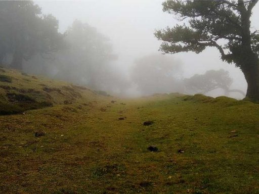 нерухомість купити, купить недвижимость