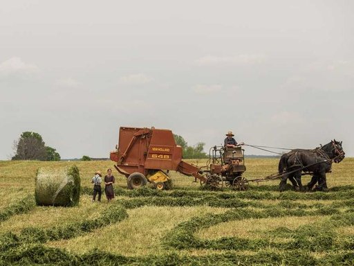 Продажа 5 кімнатного будинку по Бойова вулиця 3