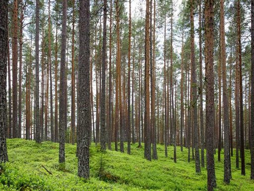 Оренда студії на Voskresenskyi Avenue 48