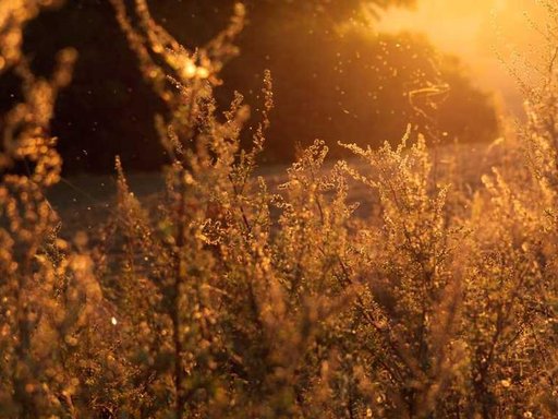 нерухомість купити, купить недвижимость