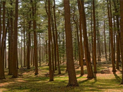 нерухомість купити, купить недвижимость