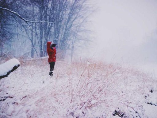 Оренда 1 кімнатної квартири на вулиця Цимбалів Яр 5