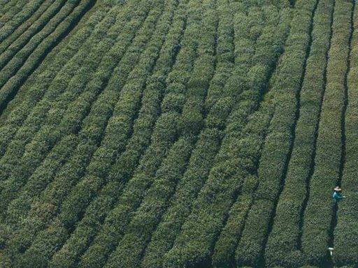 нерухомість купити, купить недвижимость