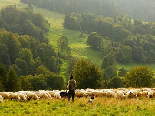 нерухомість купити, купить недвижимость