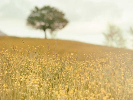 нерухомість купити, купить недвижимость