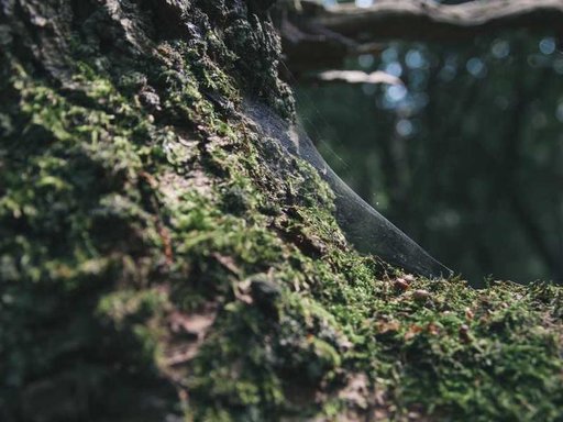 нерухомість купити, купить недвижимость