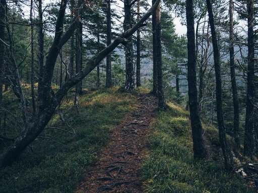 нерухомість купити, купить недвижимость