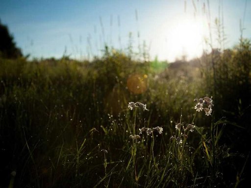 нерухомість купити, купить недвижимость