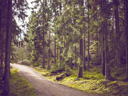 нерухомість купити, купить недвижимость