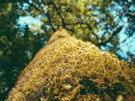 нерухомість купити, купить недвижимость