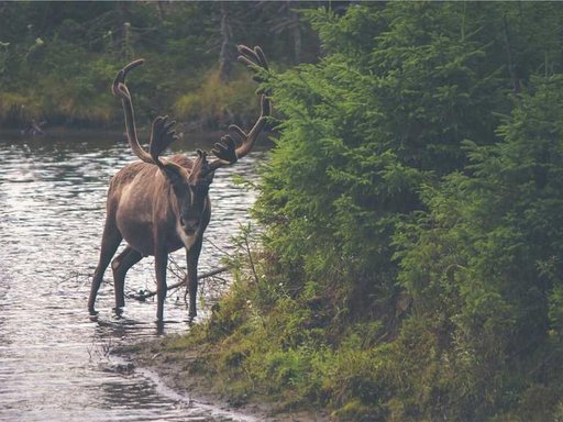 нерухомість купити, купить недвижимость