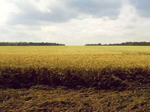 Продажа 1 кімнатного будинку по проспект Володимира Івасюка 14