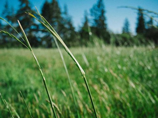 нерухомість купити, купить недвижимость