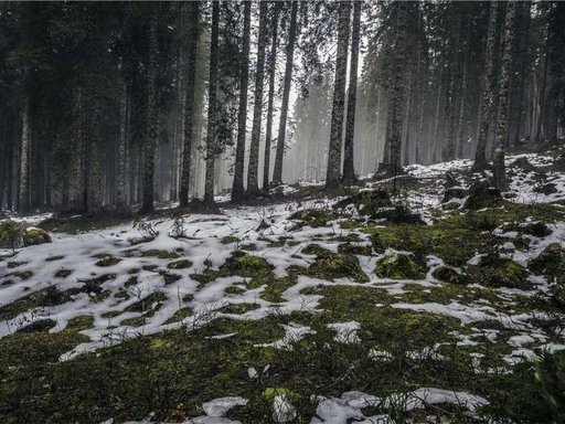 Оренда студії на Andriivskyi Descent 4/26