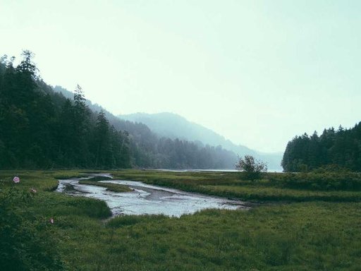 нерухомість купити, купить недвижимость