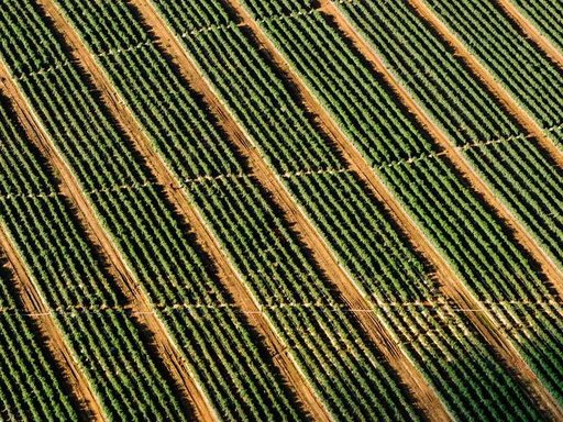 Продажа 3 кімнатного будинку по вулиця Володимира Самійленка 10