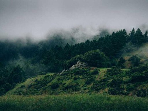 нерухомість купити, купить недвижимость